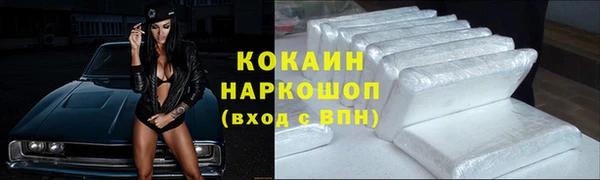 гашик Богородицк